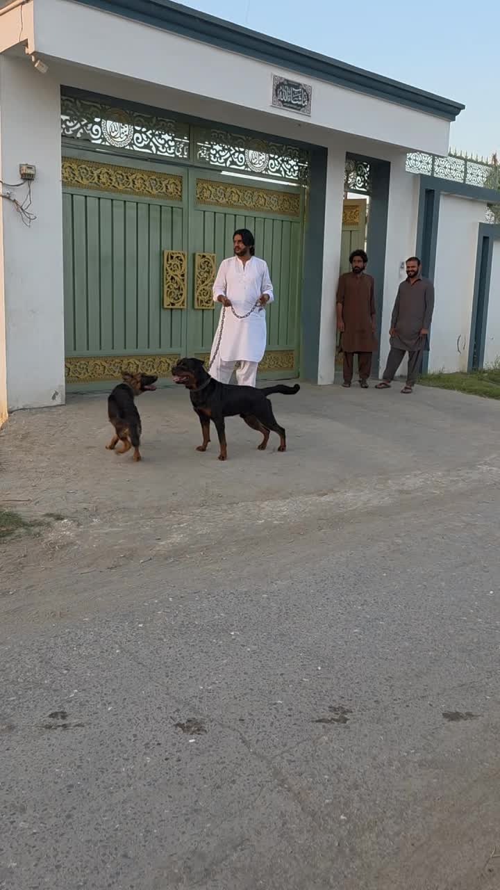 @jazib.warraich50