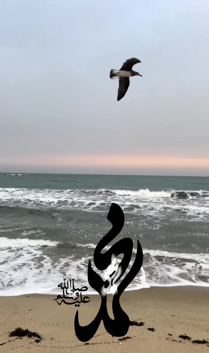@(﮼صمت ﮼الجرو ح﮼)