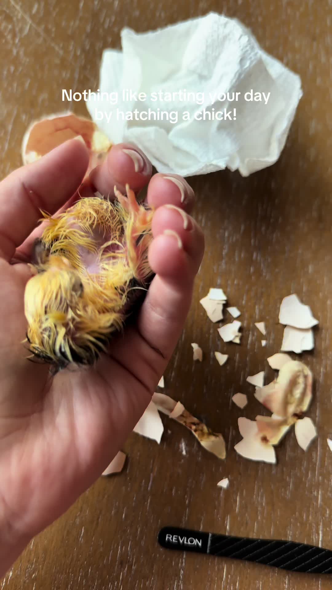@Alivia ✨🖤🐦⬛