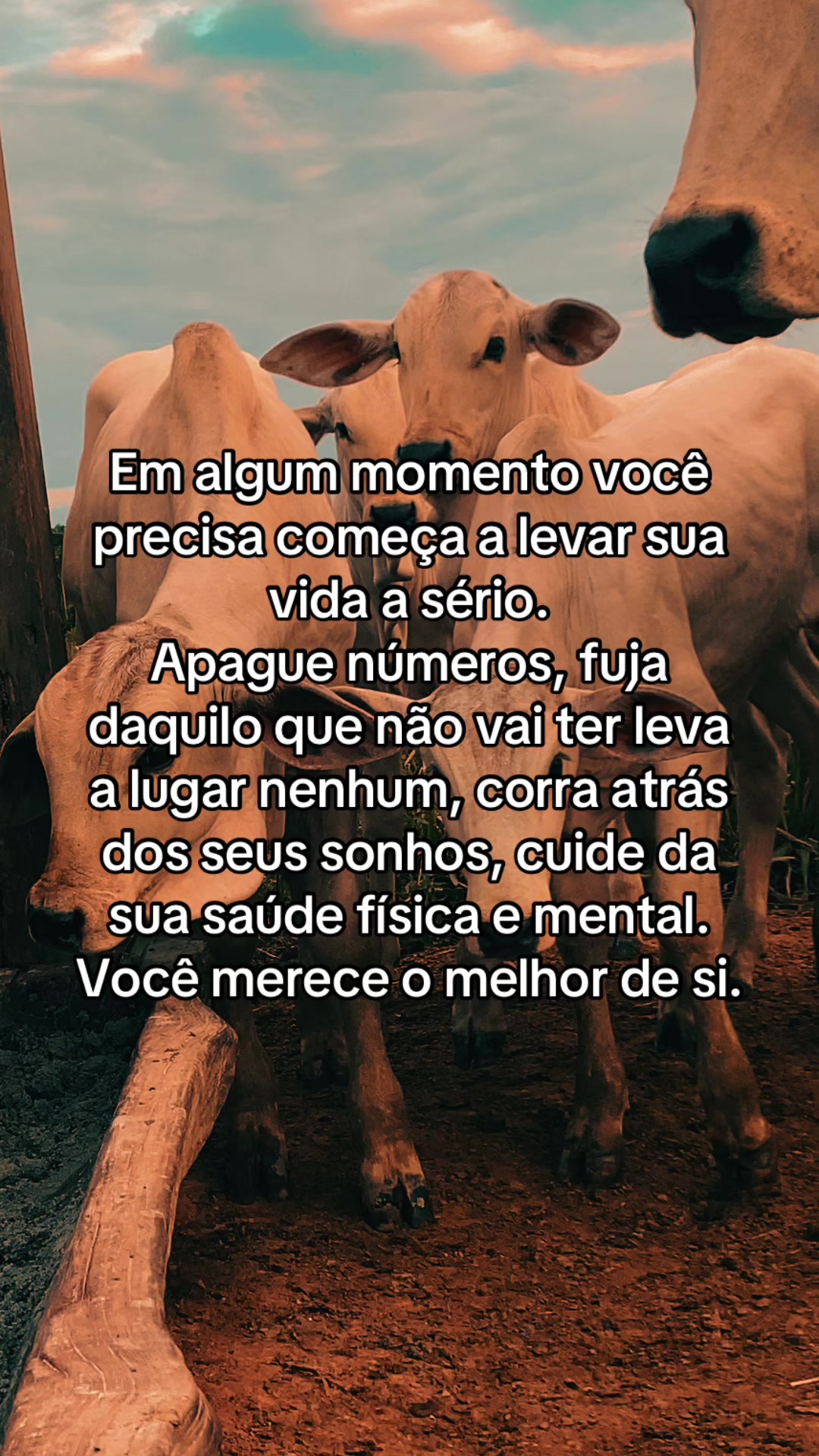 @📿K&Aacute;SSIO.agro𓃗🤠