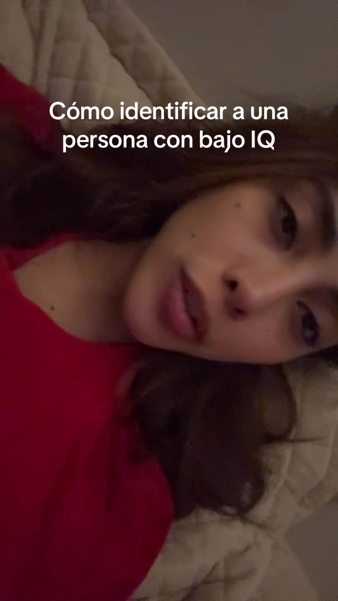 @sofilacuriosaa