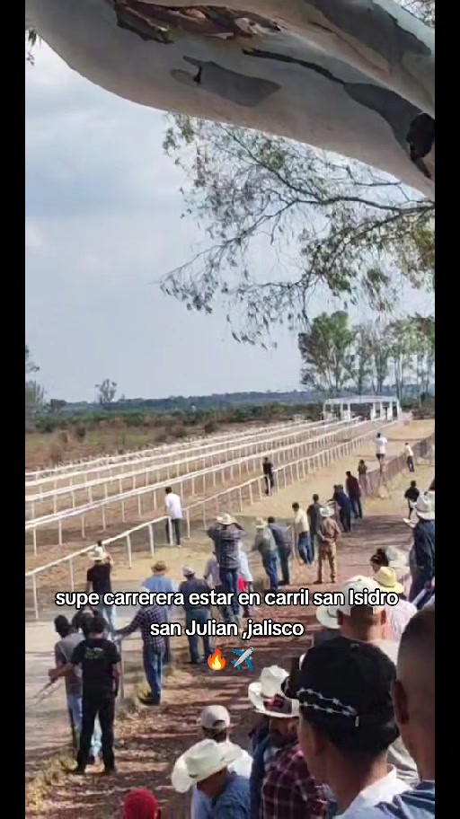 @carriles altos de jalisco🐎