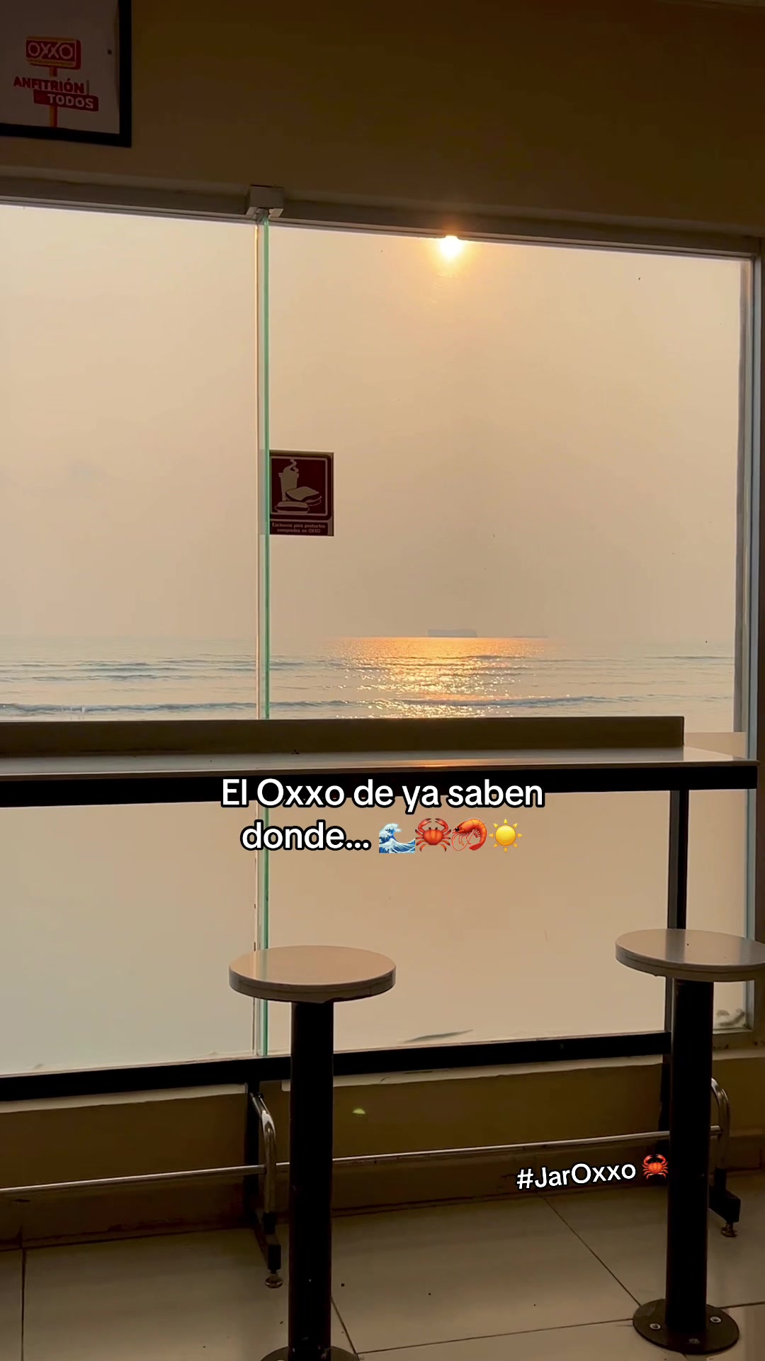 @Xoloyoxi Luna 🌙