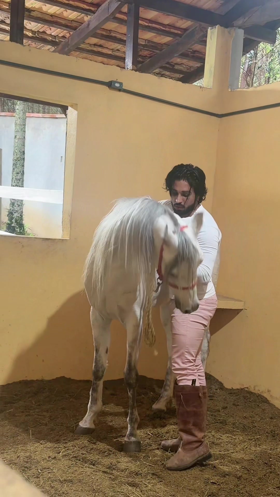 @habibi.Jacksparrow