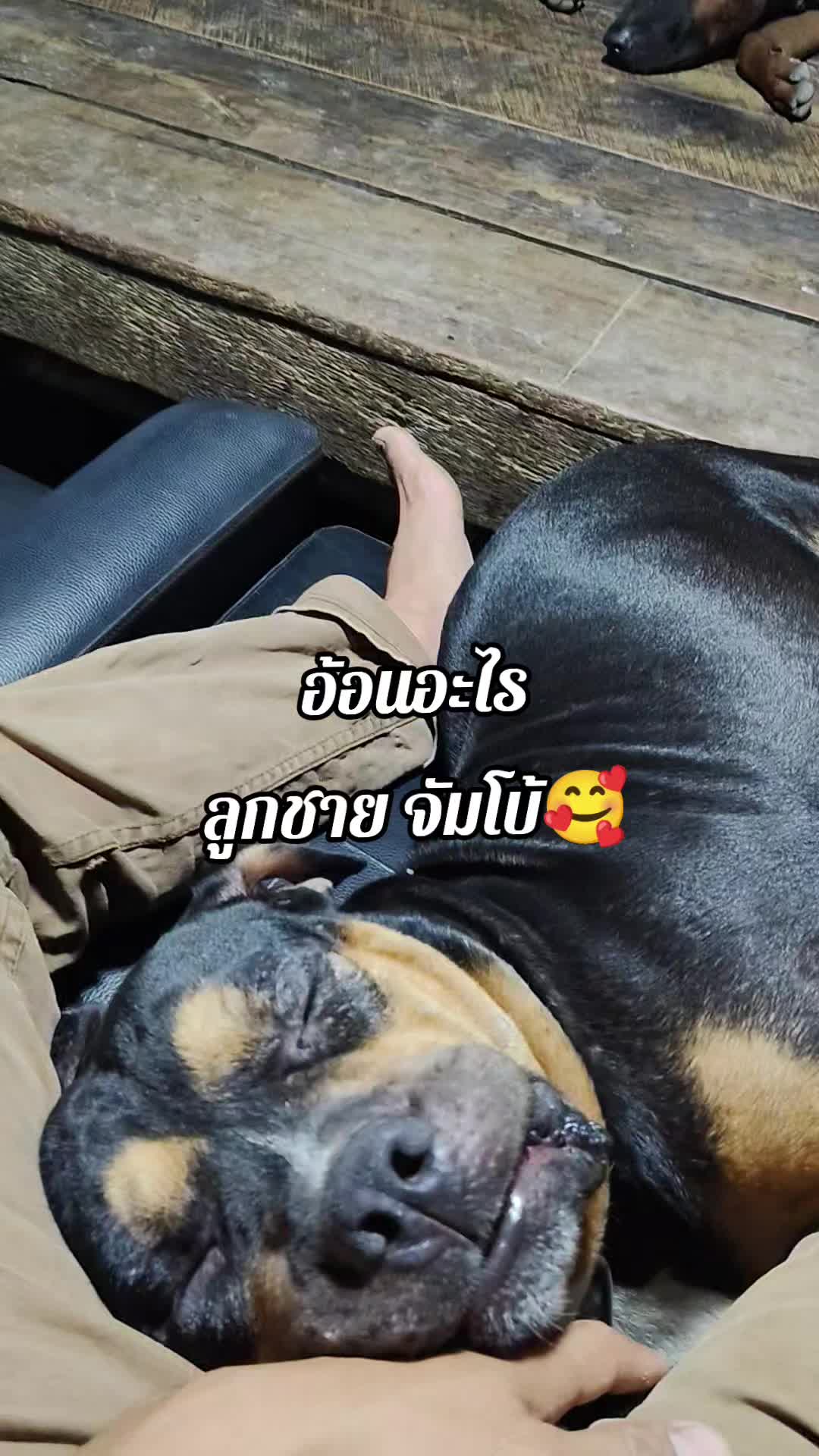 @ตั้ม สุพรรณบุรี