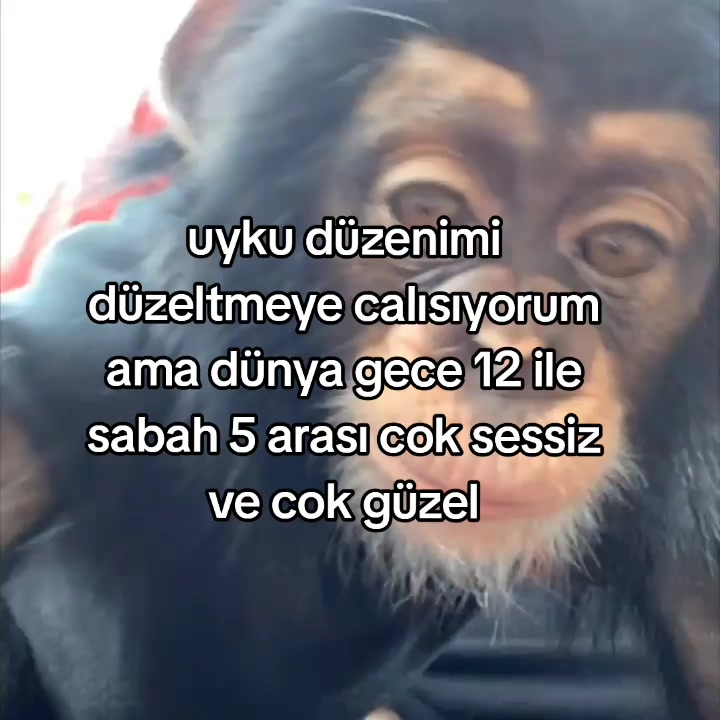 @rolland