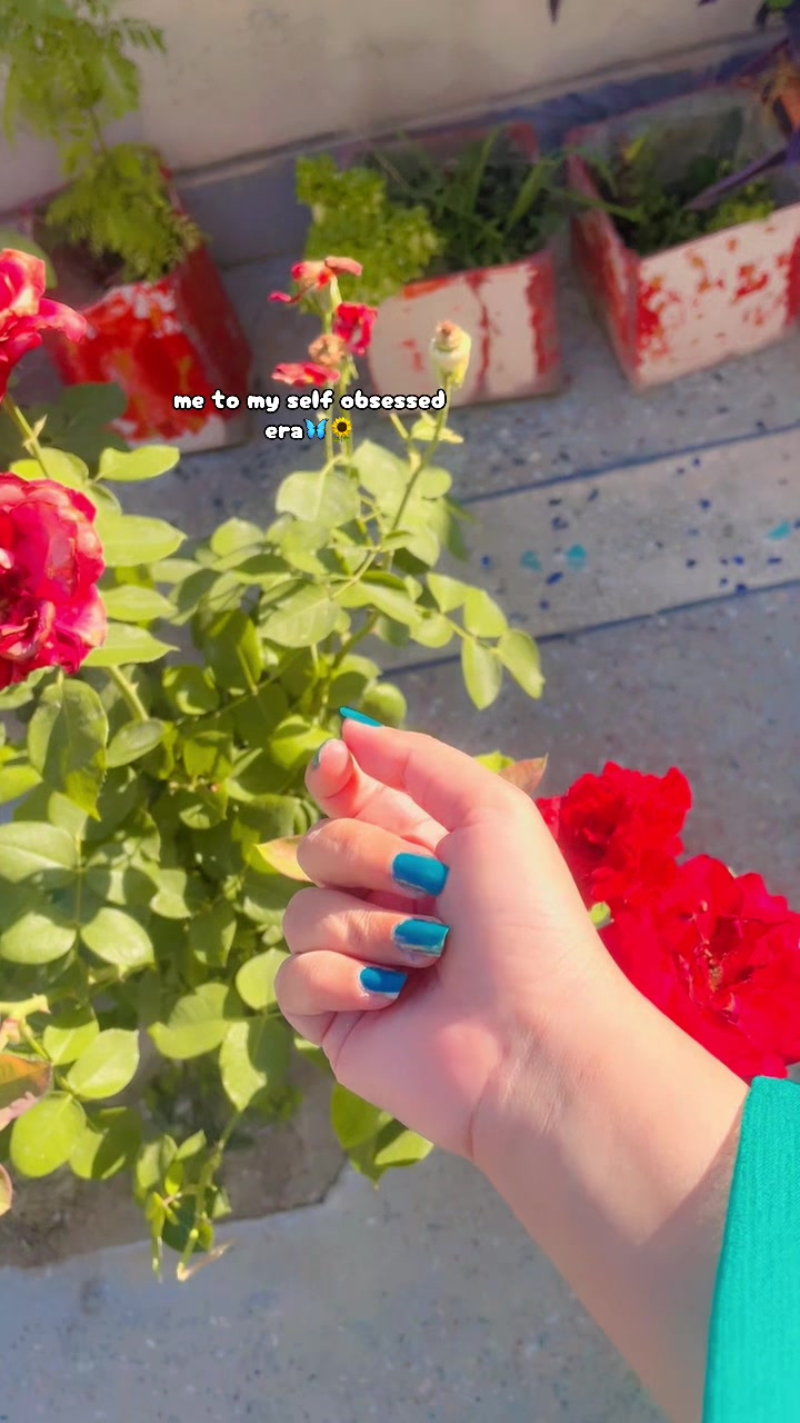 @S:K🦋🌻