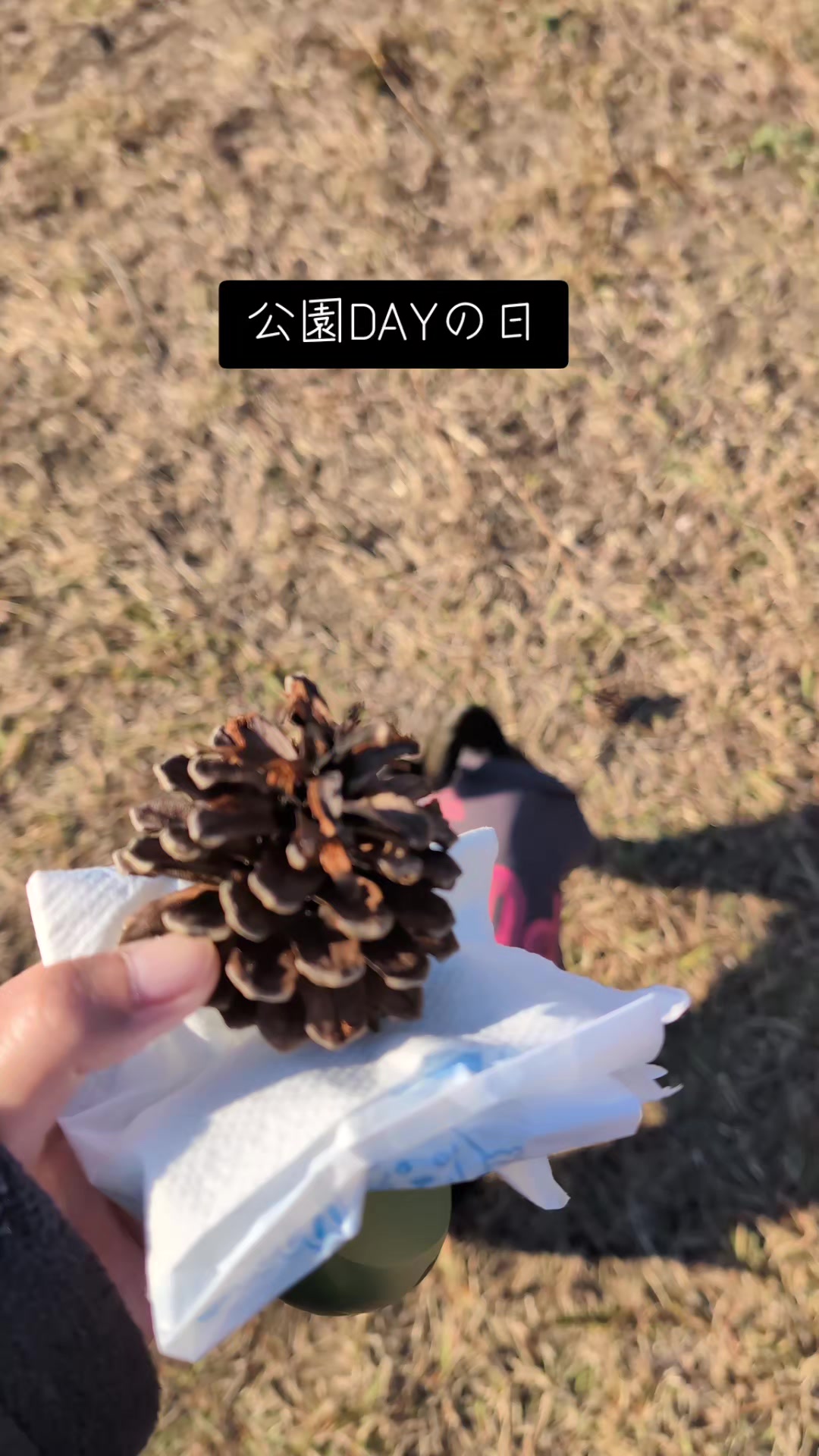 @ZEN