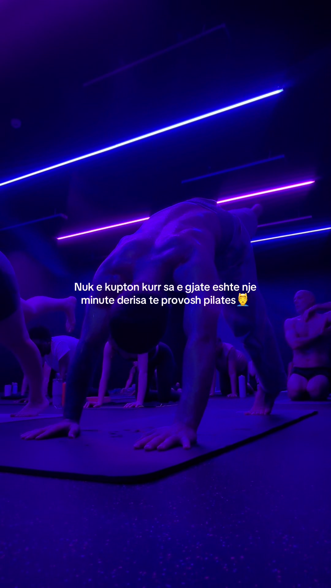 @elisonsuci