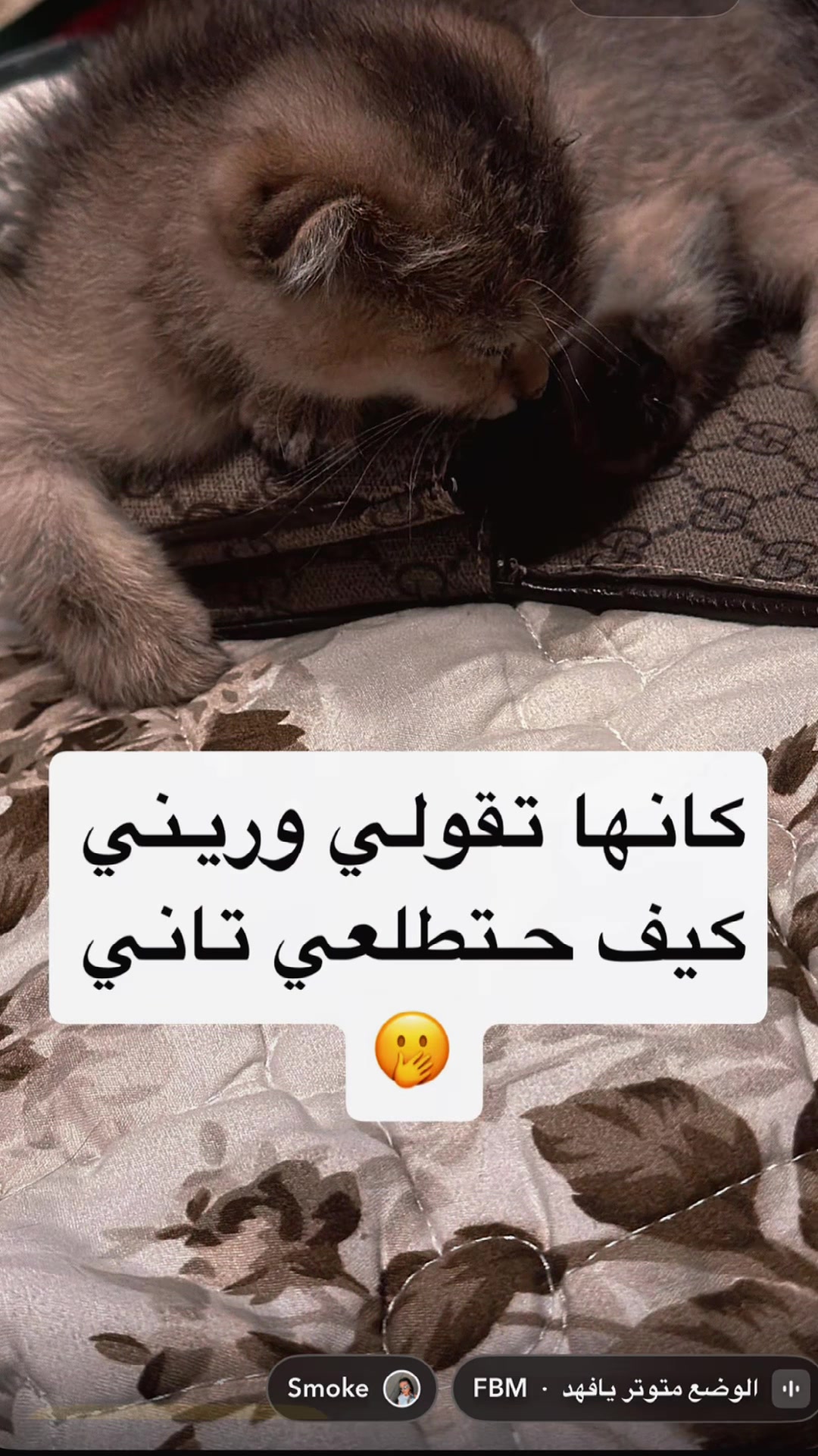 @samar.k97
