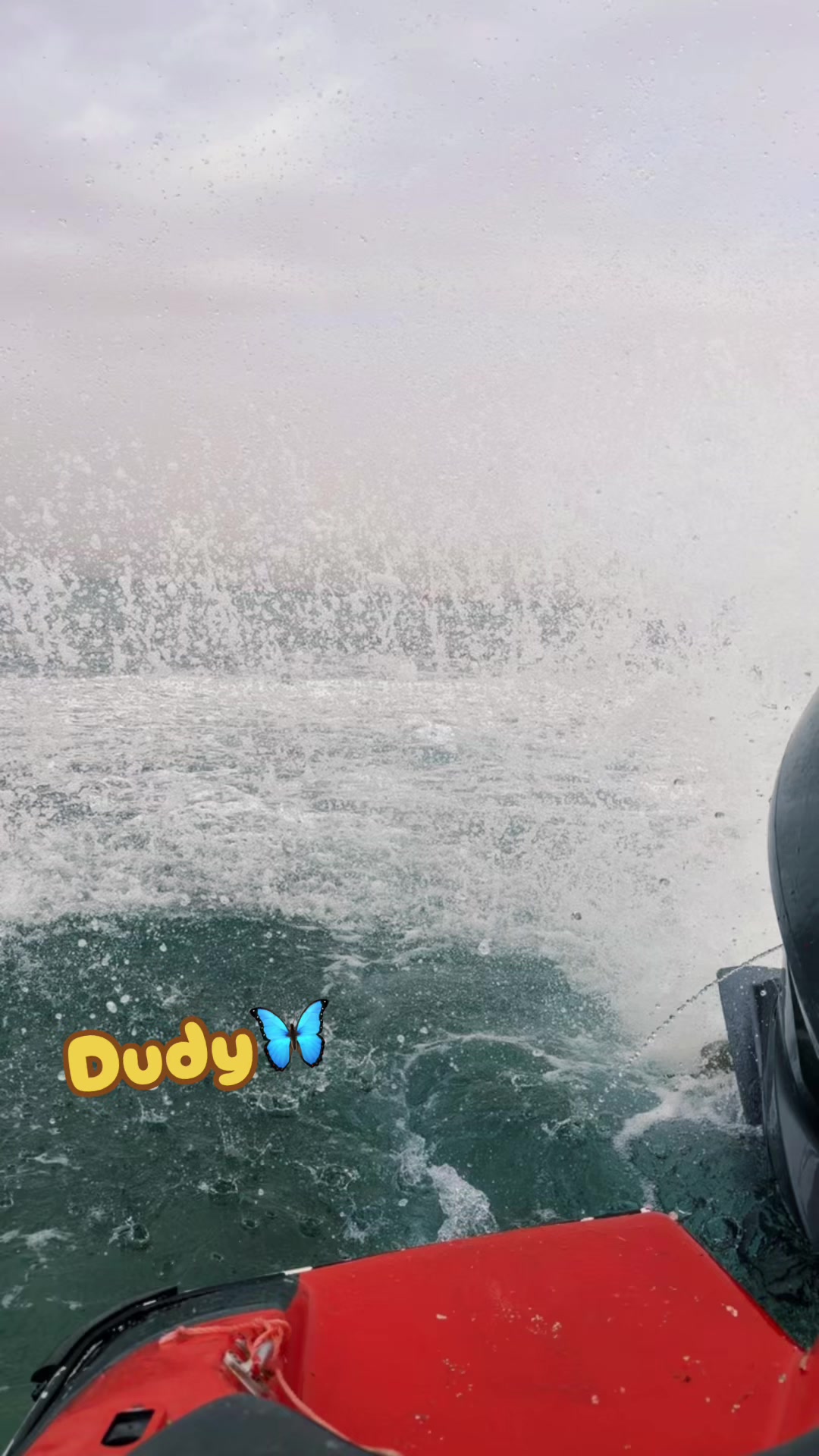 @DUDY_Z