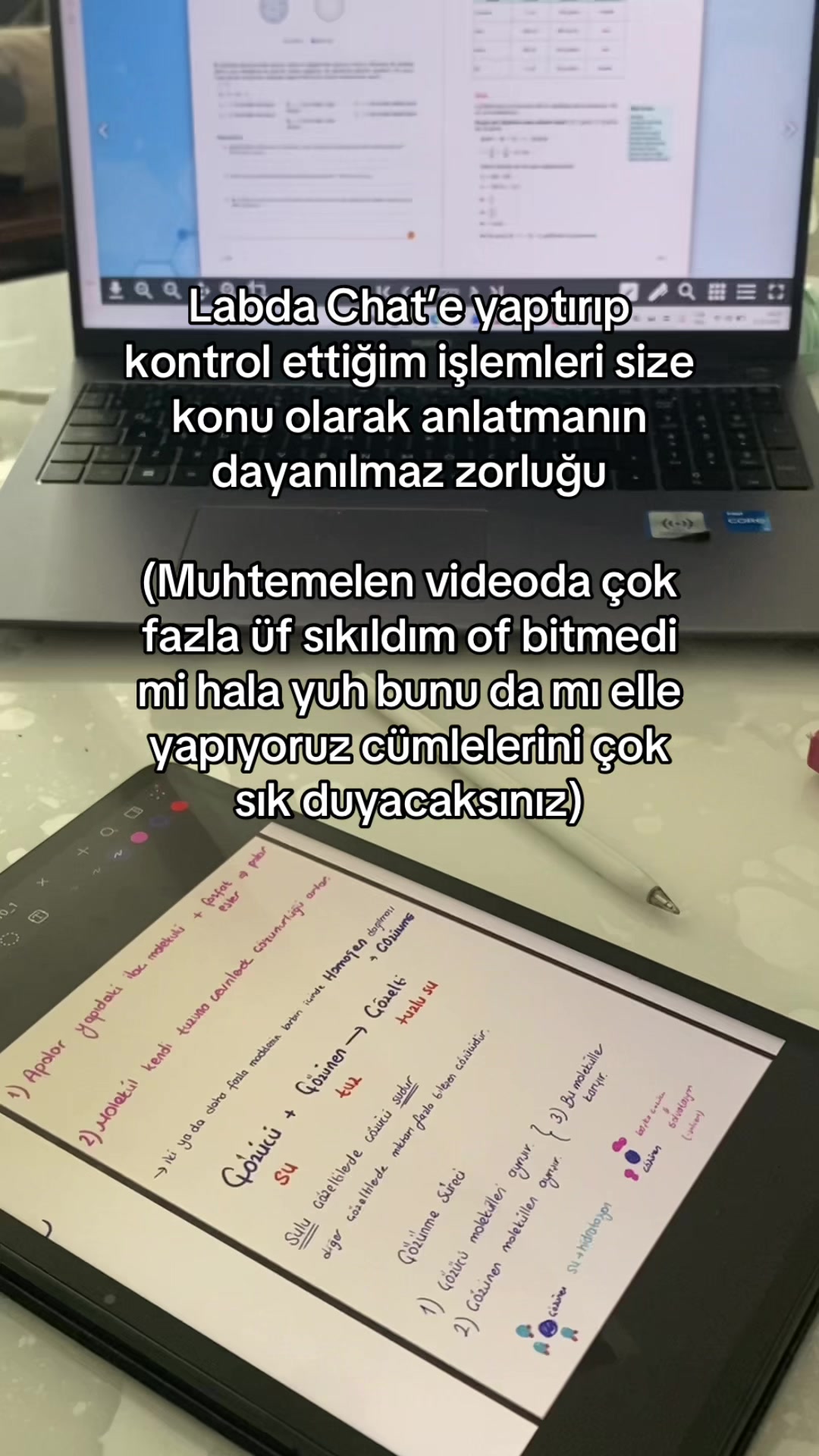 @Aslı Ceren Eker