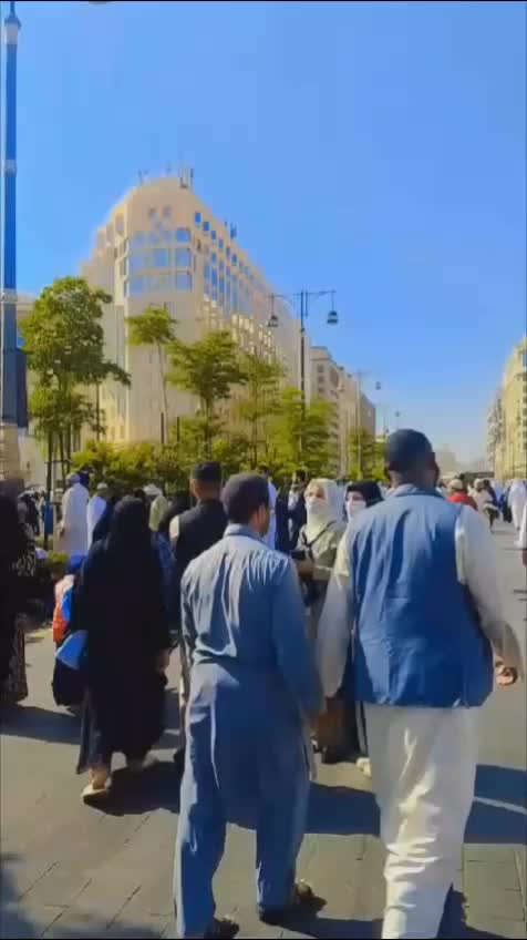 @صبیحہ گل