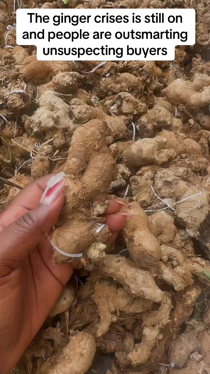 @MeAnnan Foods-Mama&rsquo;s finest MF