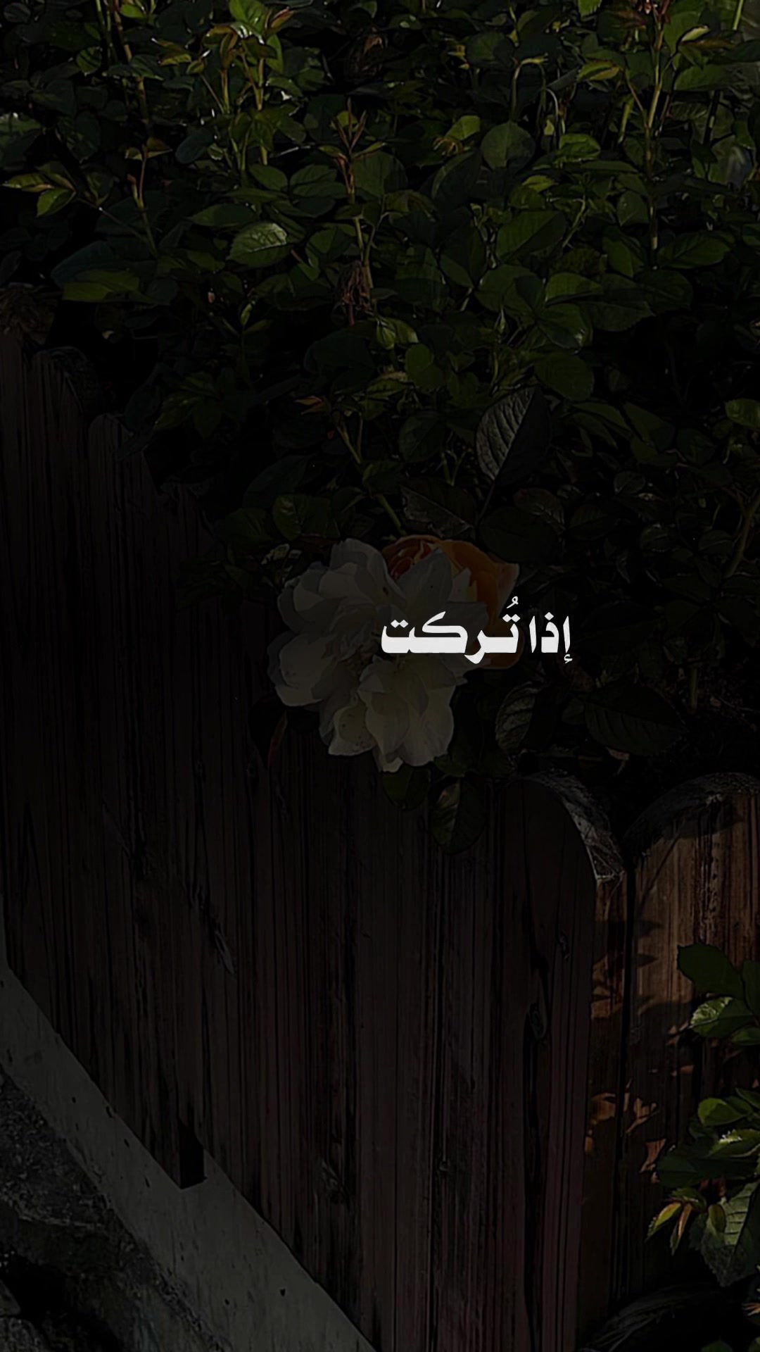 @M