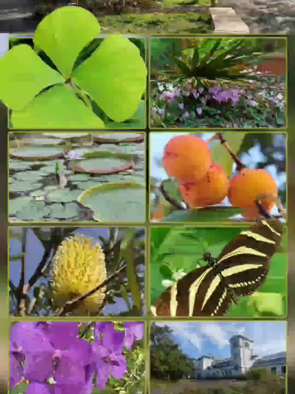 @Balu75756 🇩🇪