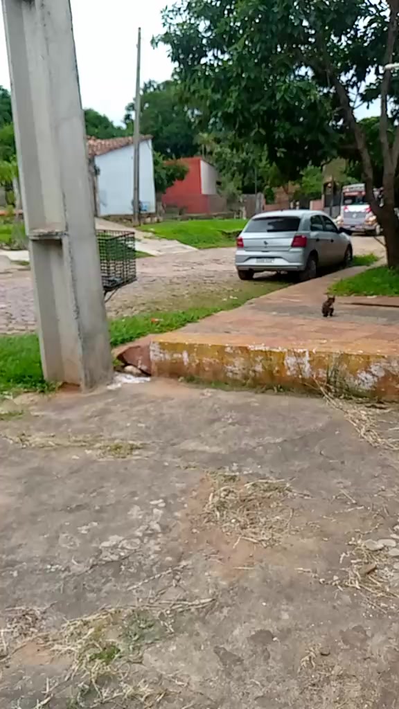 @flogao_san_lorenzo