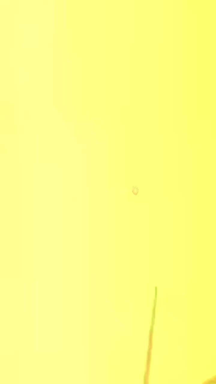 @B7F乛حسيب