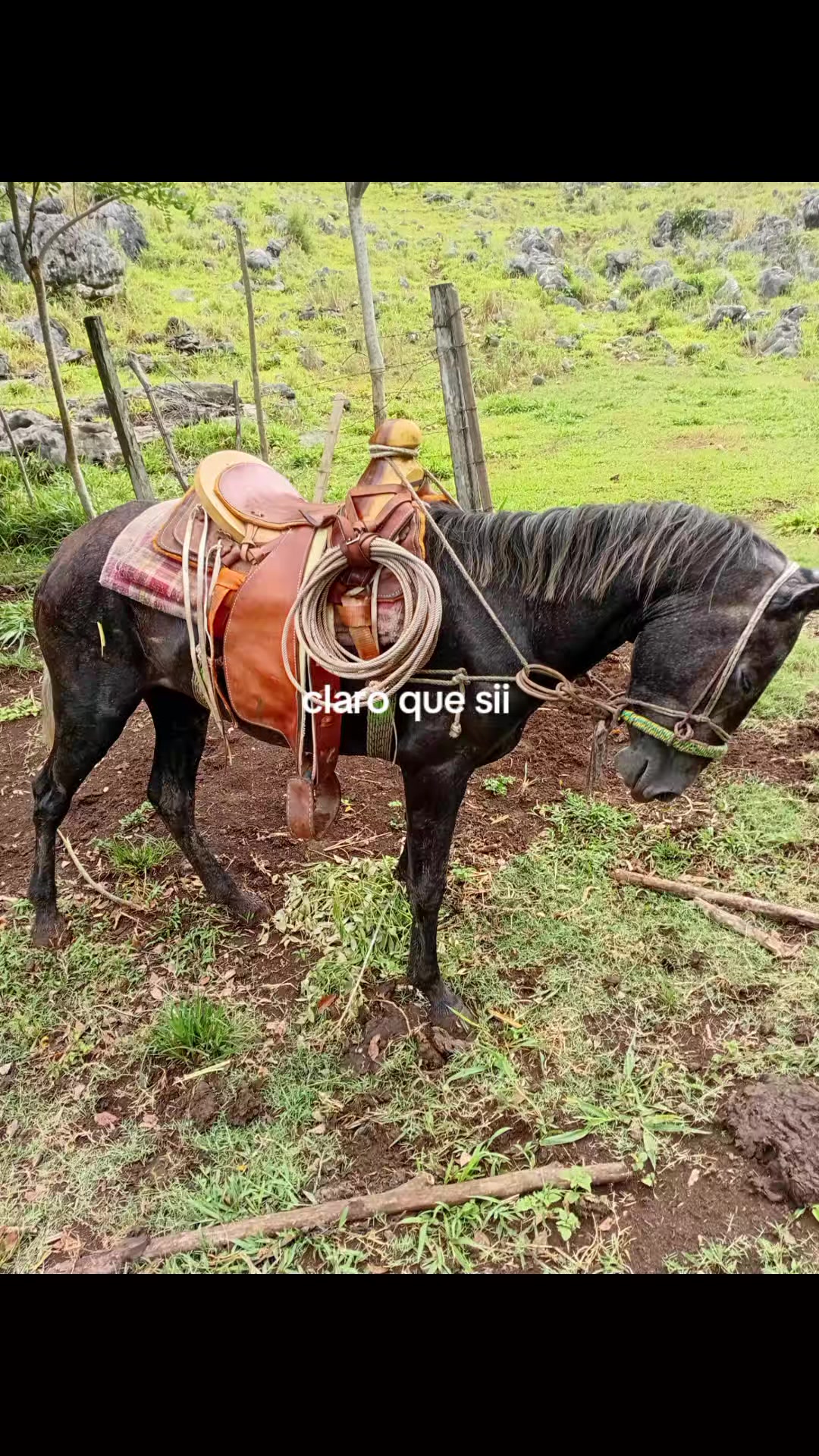 @vaquero 🤠 Lopez