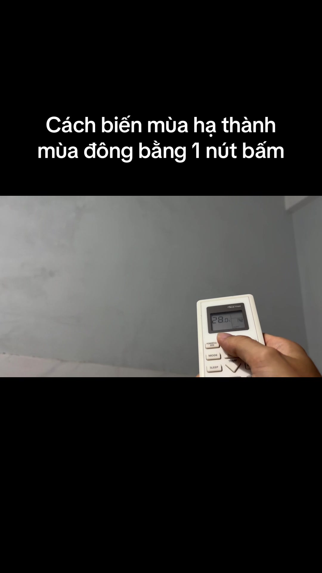 @Mèo thông thái
