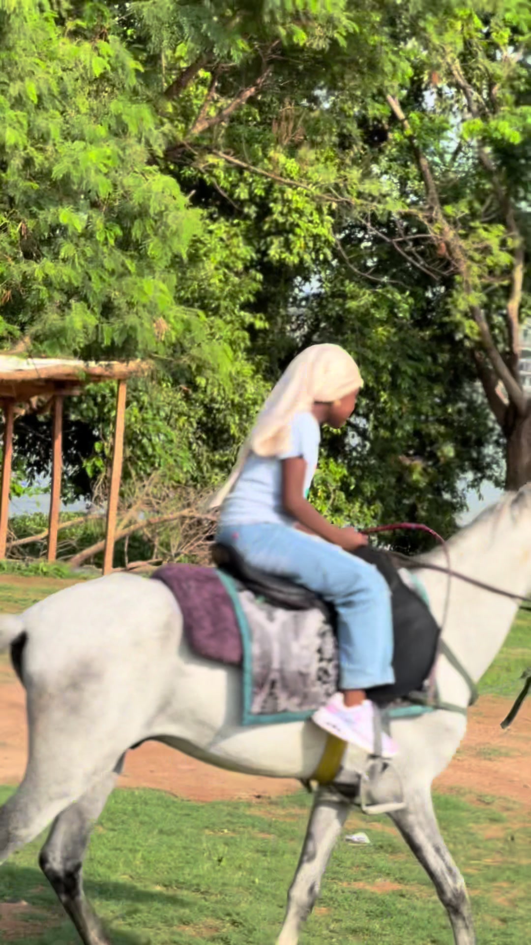 @Abuja horse riders