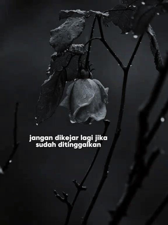 @riani25