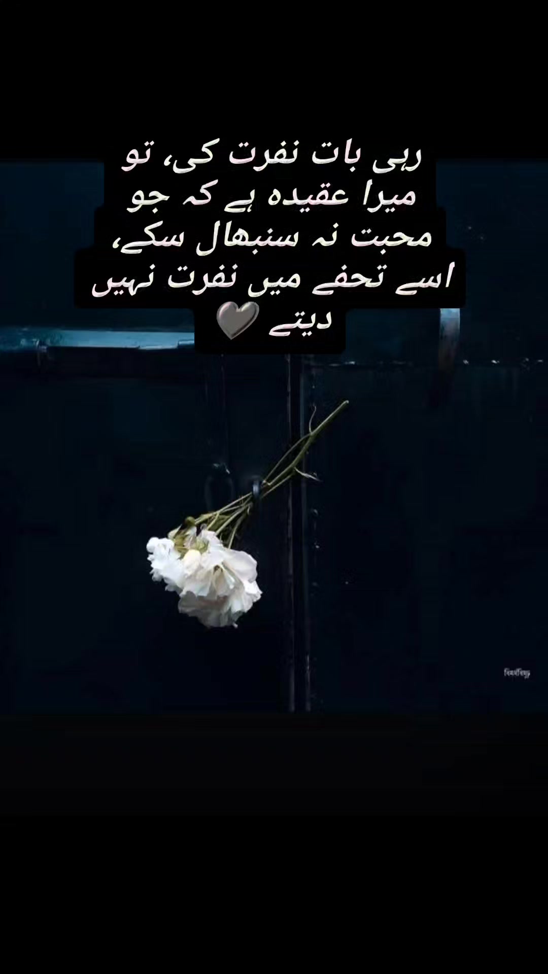 @At!f✍️
