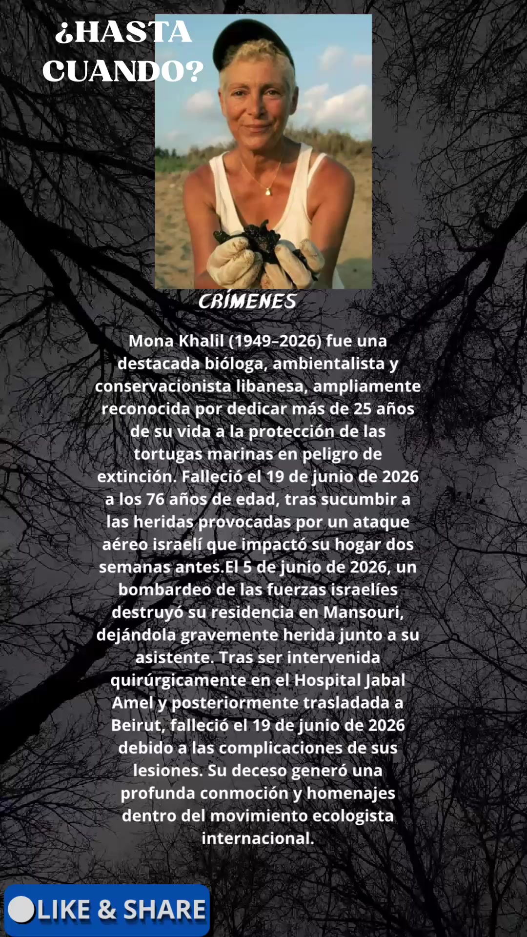 @Crímenes