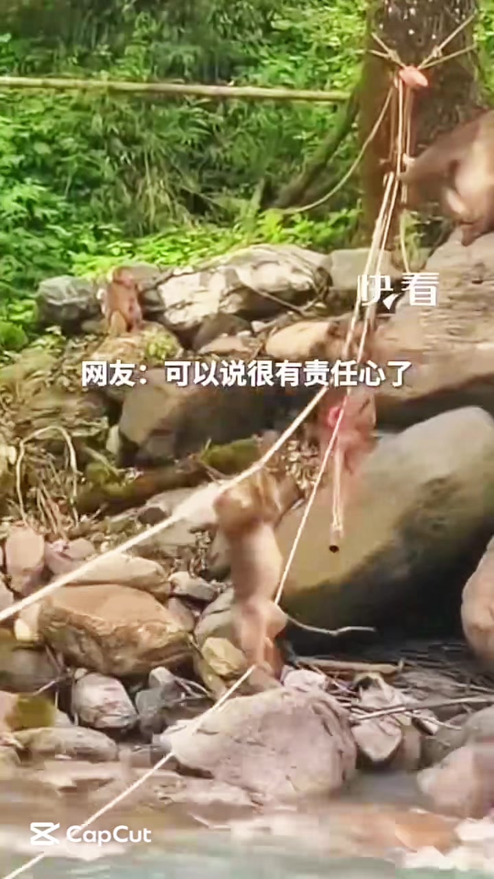 @liujiangyu