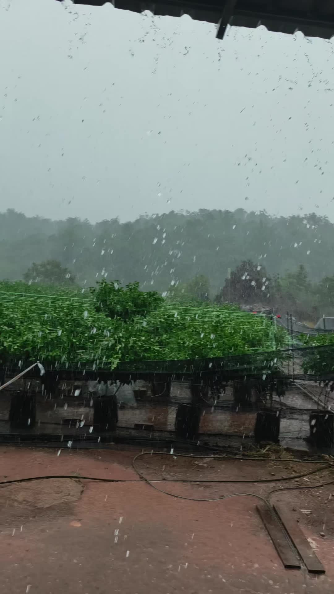 @CiLi BaRa