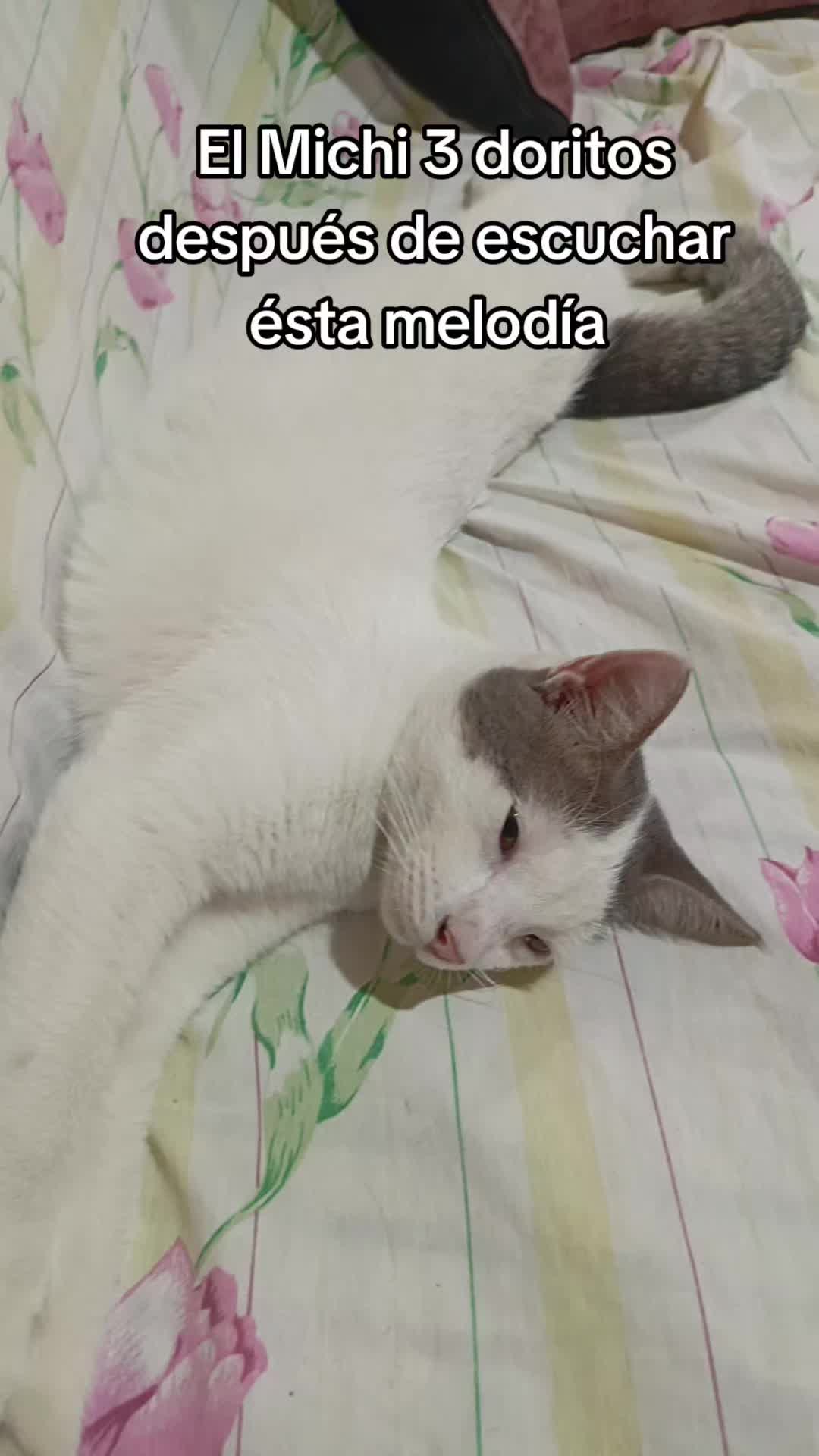 @Mar Nena Consentida