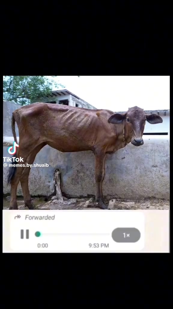 @Shahbaz Ali Arain