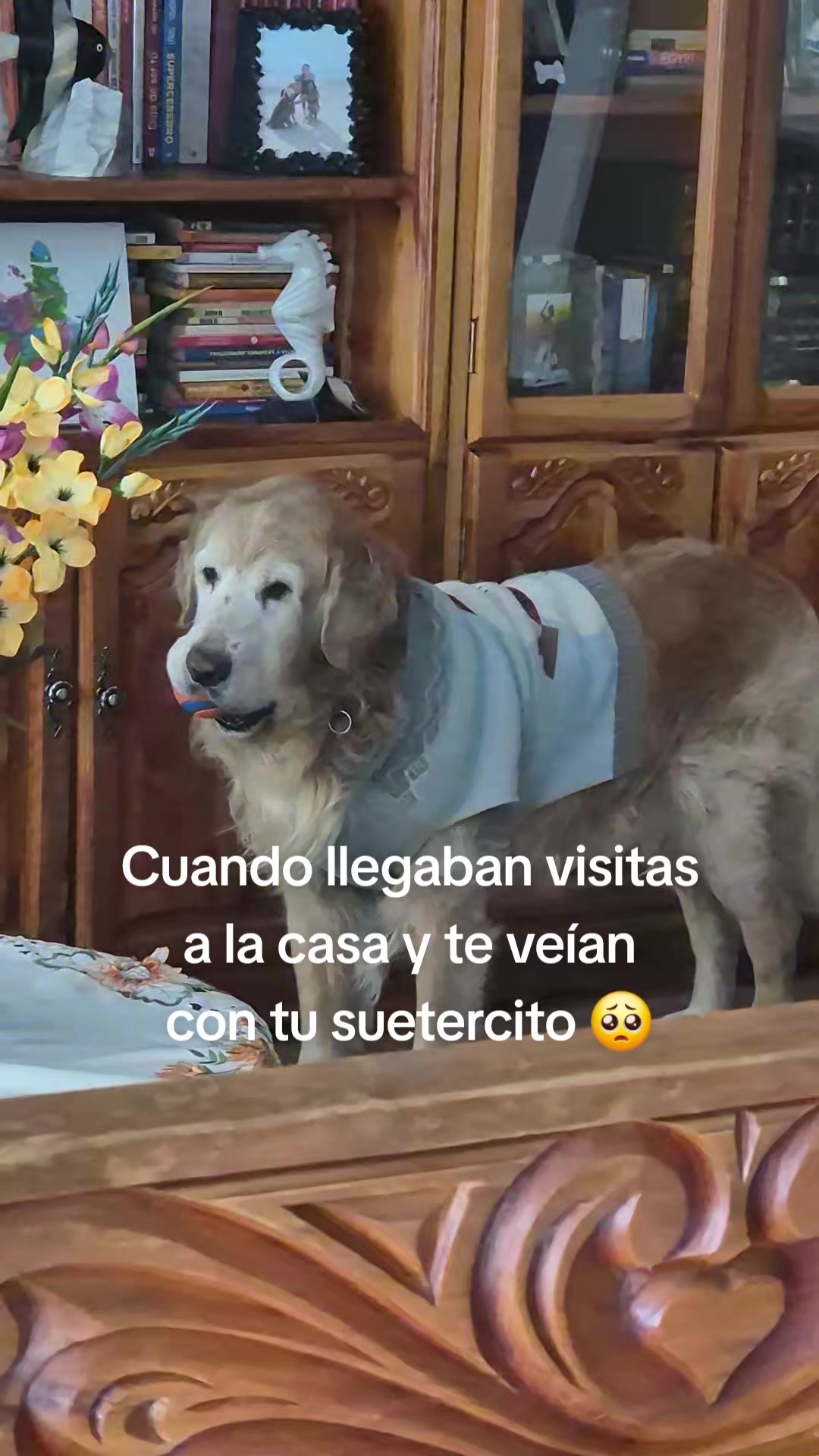 @Alvin Doradito 🐕