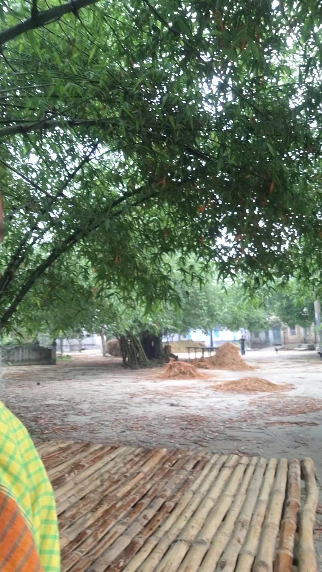 @Rajjak Vai