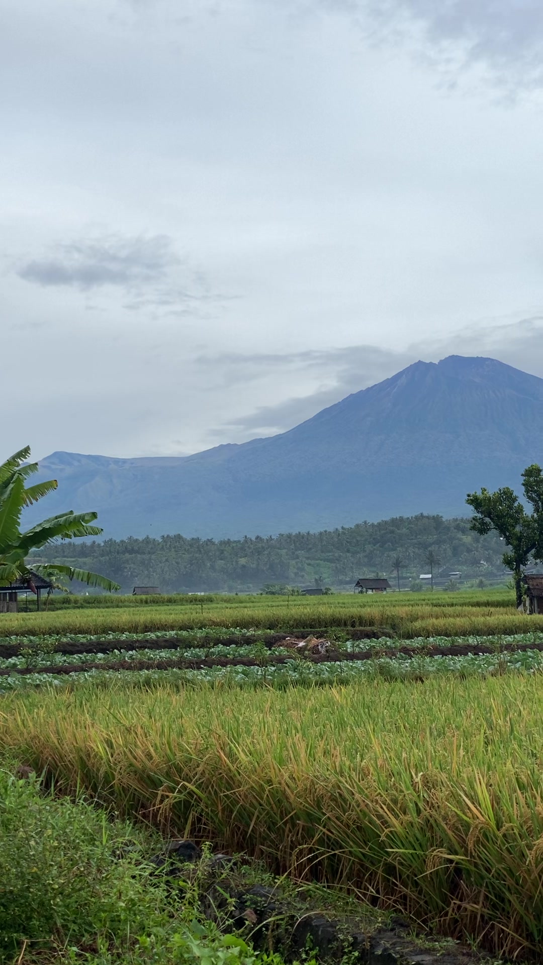 @Seputar Lombok