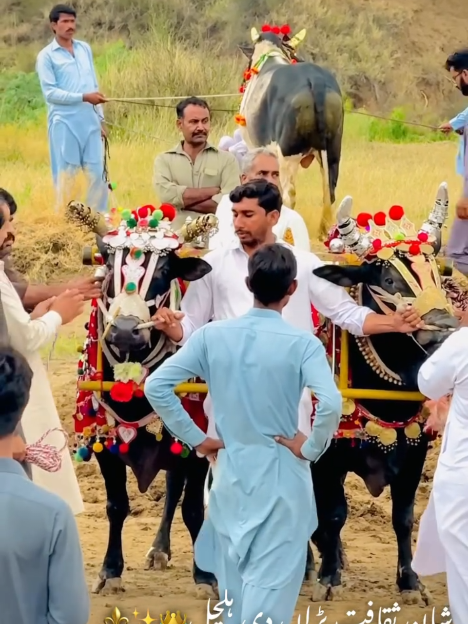 @Ch badar hussain