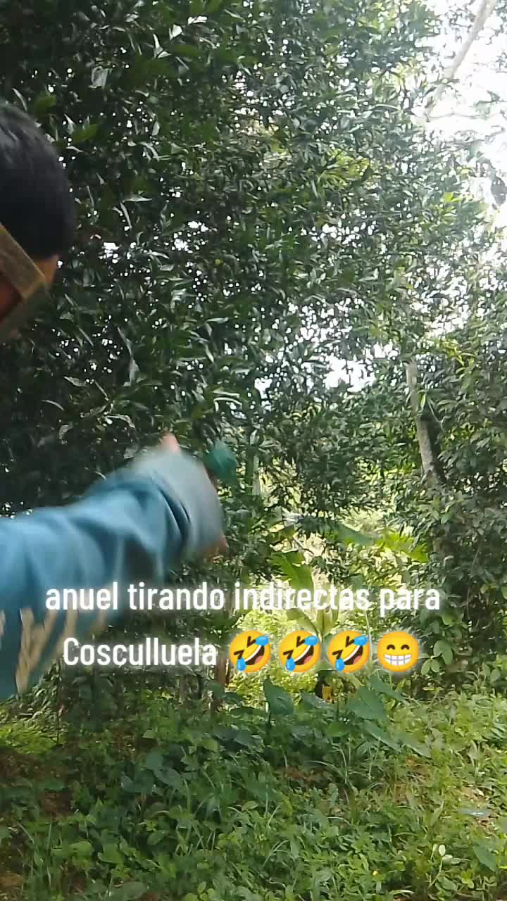 @anuel aa del temu๐ฟ๐๐น๐ช๐จ