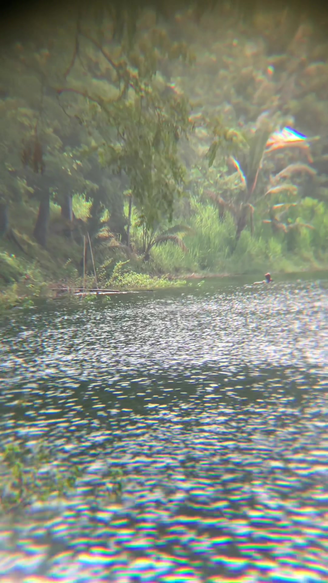 @MAFIA FISHING