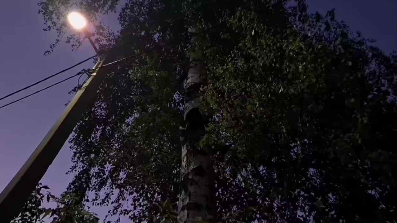 @пздц