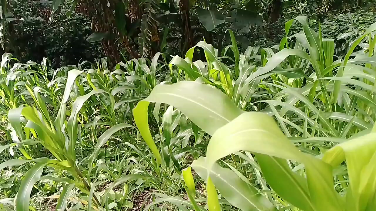 @Sonia C&oacute;rdoba