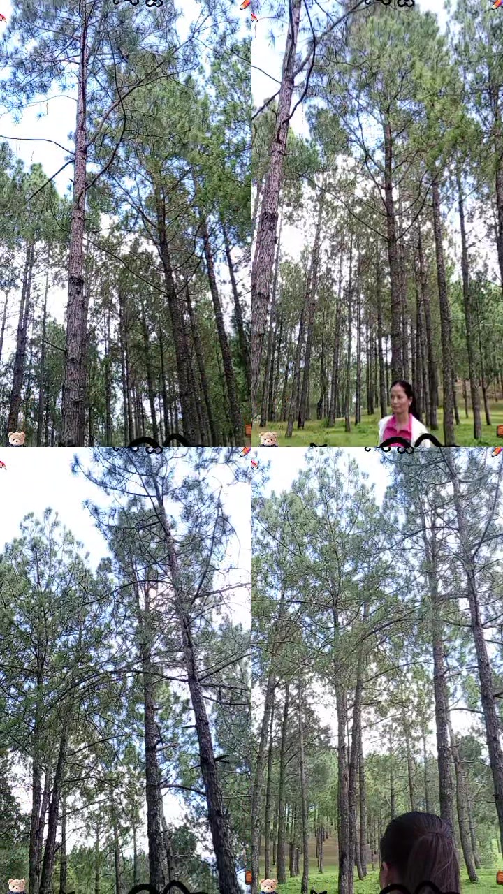 @Mina Karki