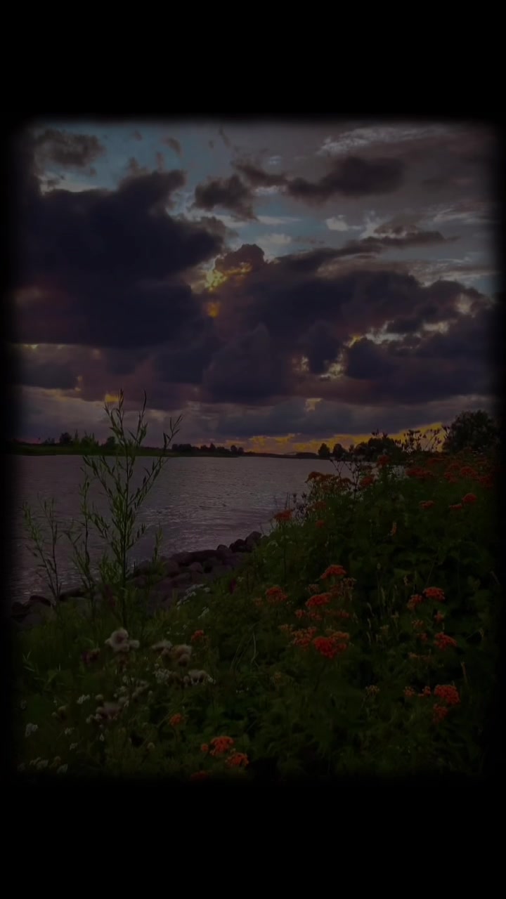 @poetry songs