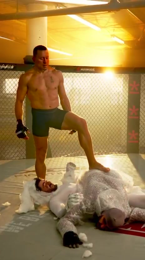@Georges St-Pierre