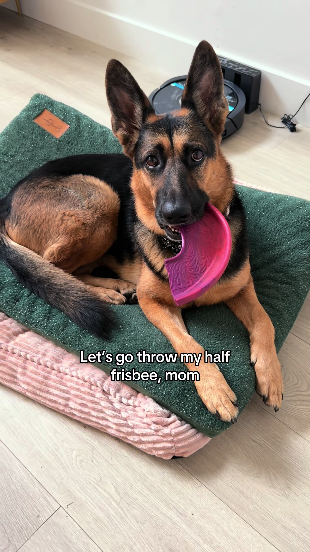 @Rory The Not-Working GSD
