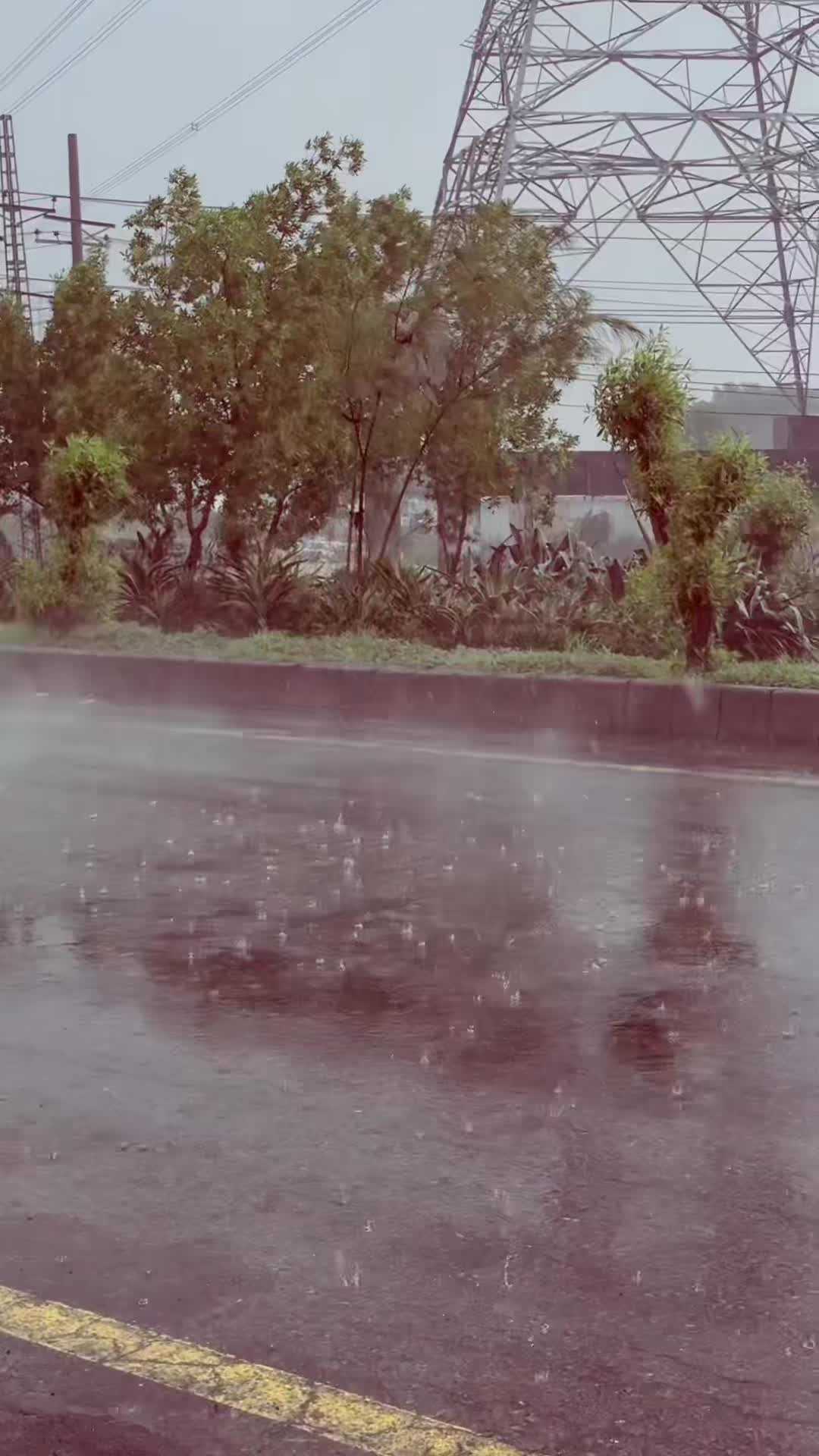 @🦋S.S🦋