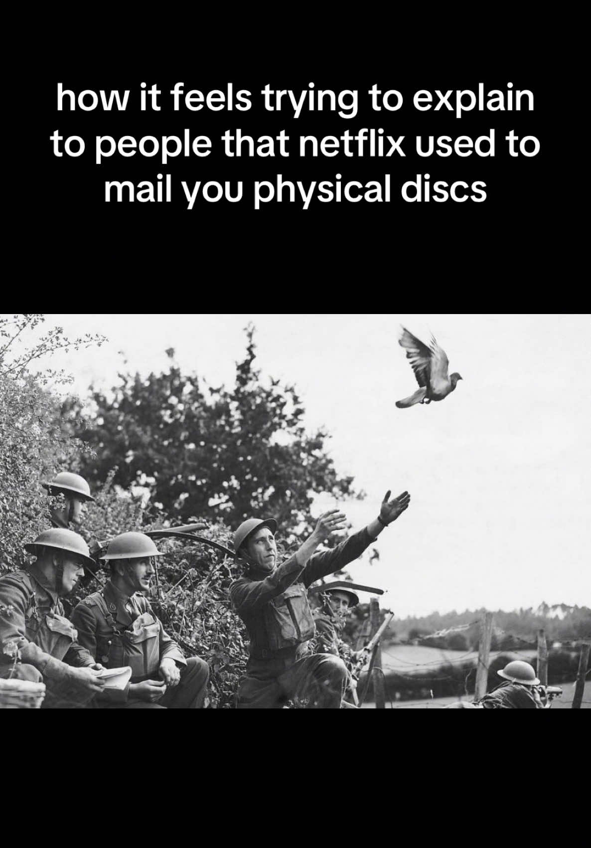 @๐๐๐๐๐๐๐๐๐ ๐ค ๐ถ