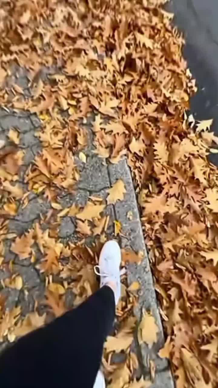 @Ay_g_0