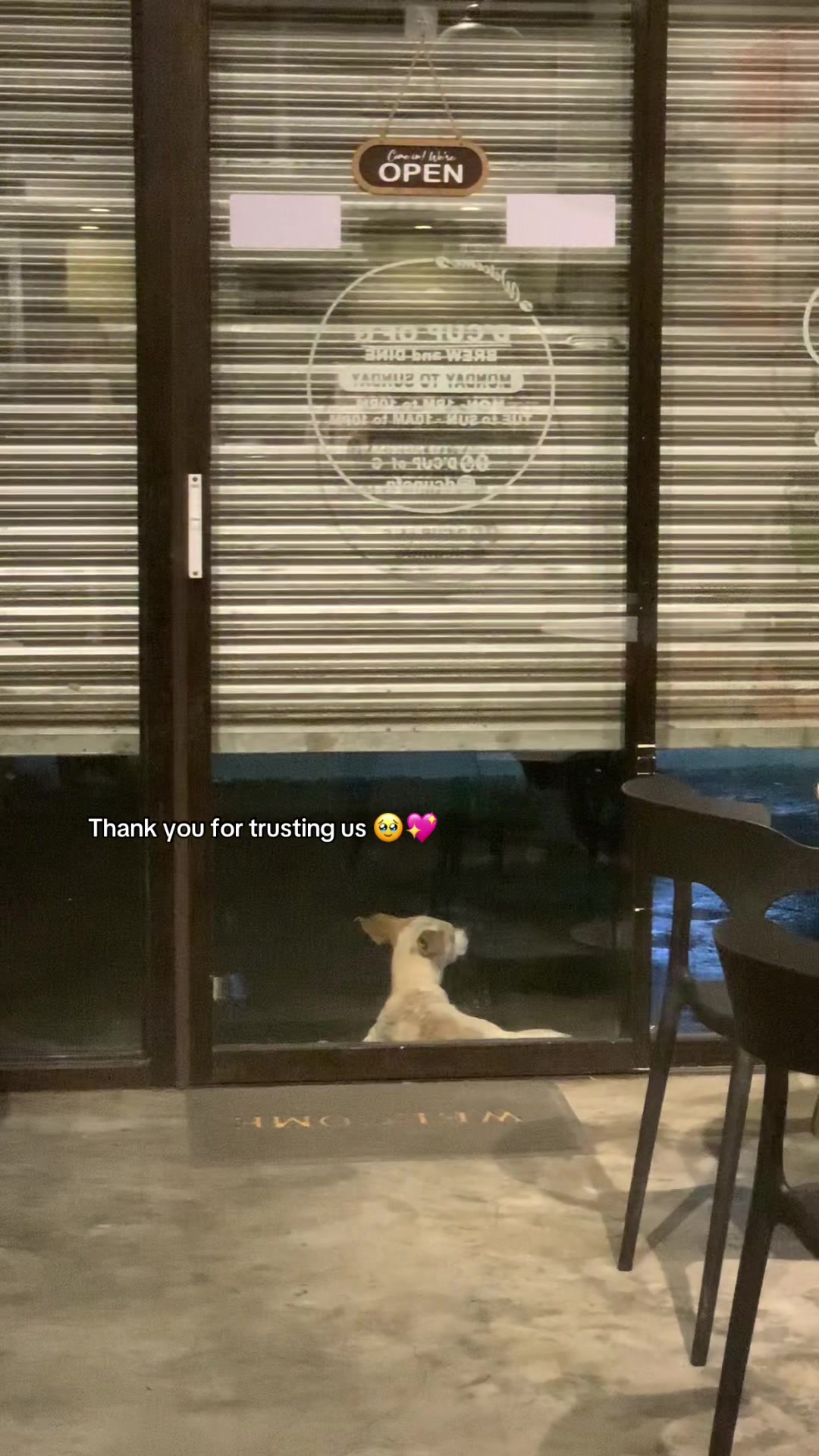 @D.LULU'S COLLECTION 🌹