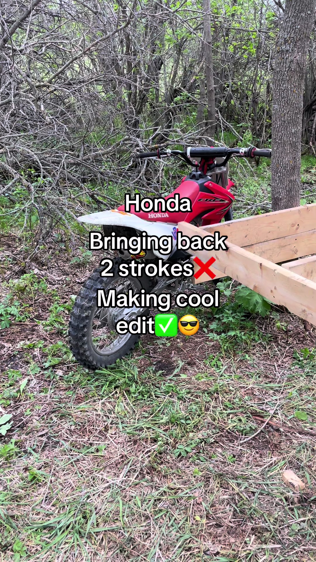 @𝓣𝓱𝓪𝓽300𝓕_𝓦𝓱𝓲𝓹𝓹𝓪