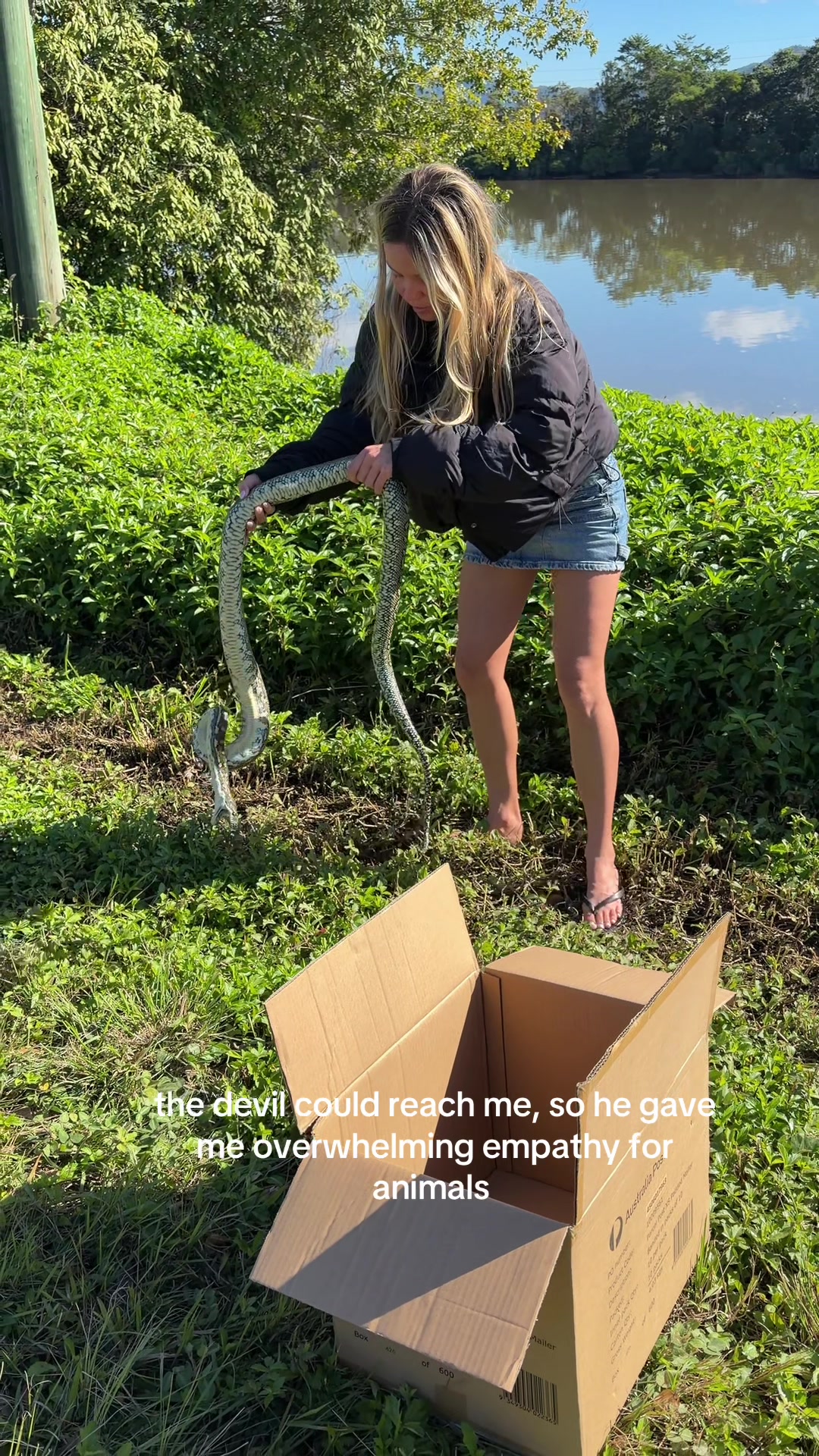 @Lauren